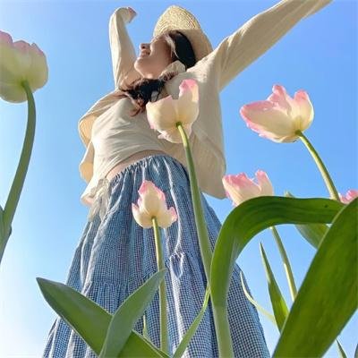 女王鲨